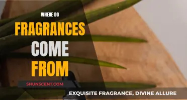 The Evolution of Fragrances: A Historical Perspective