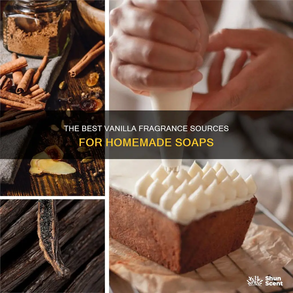 where do i buy vanilla fragrance for homemade soap
