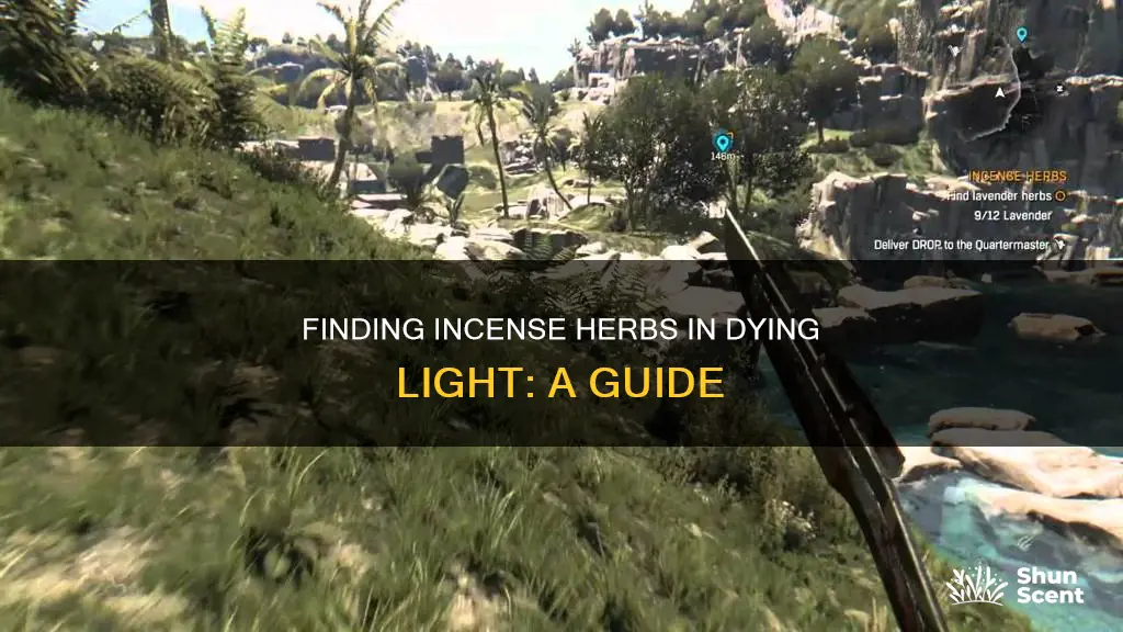 where do i find incense herbs in dying light