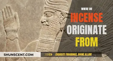Incense History: Ancient Origins and Uses