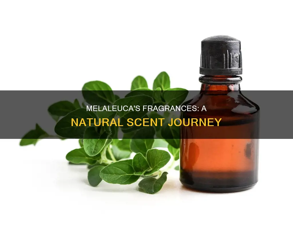where do melaleuca