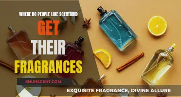 Scentbird's Fragrance Sources: Unveiling the Mystery of Scents