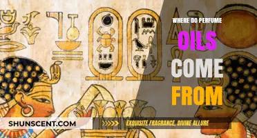Unveiling the Origins: Where Do Perfume Oils Truly Come From?