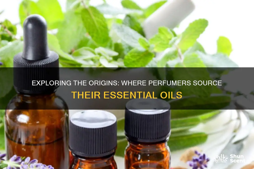 where do perfumers get their oils