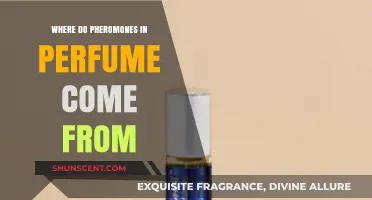 Unveiling the Origins of Pheromones in Perfumes: A Scented Journey