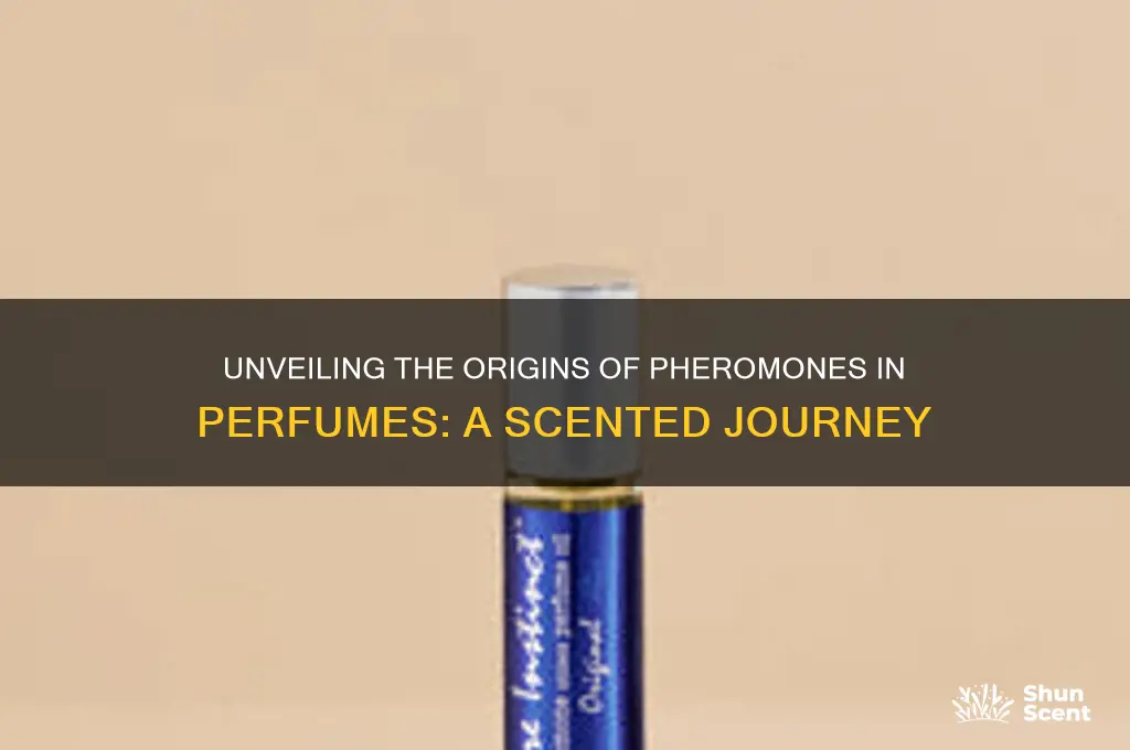 where do pheromones in perfume come from