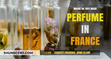 Exploring France's Perfume Creation