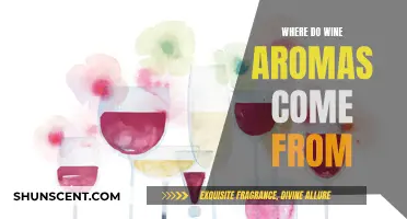 The Magic of Wine Aromas: Unveiling Their Sources