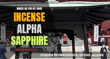 How to Find Rose Incense in Alpha Sapphire