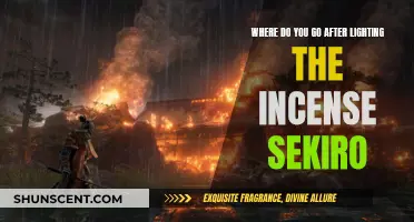 Exploring the Incense Carryover in Sekiro: Shadows Die Twice