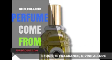 The Origins of Amber Perfume: A Journey Through History and Ingredients