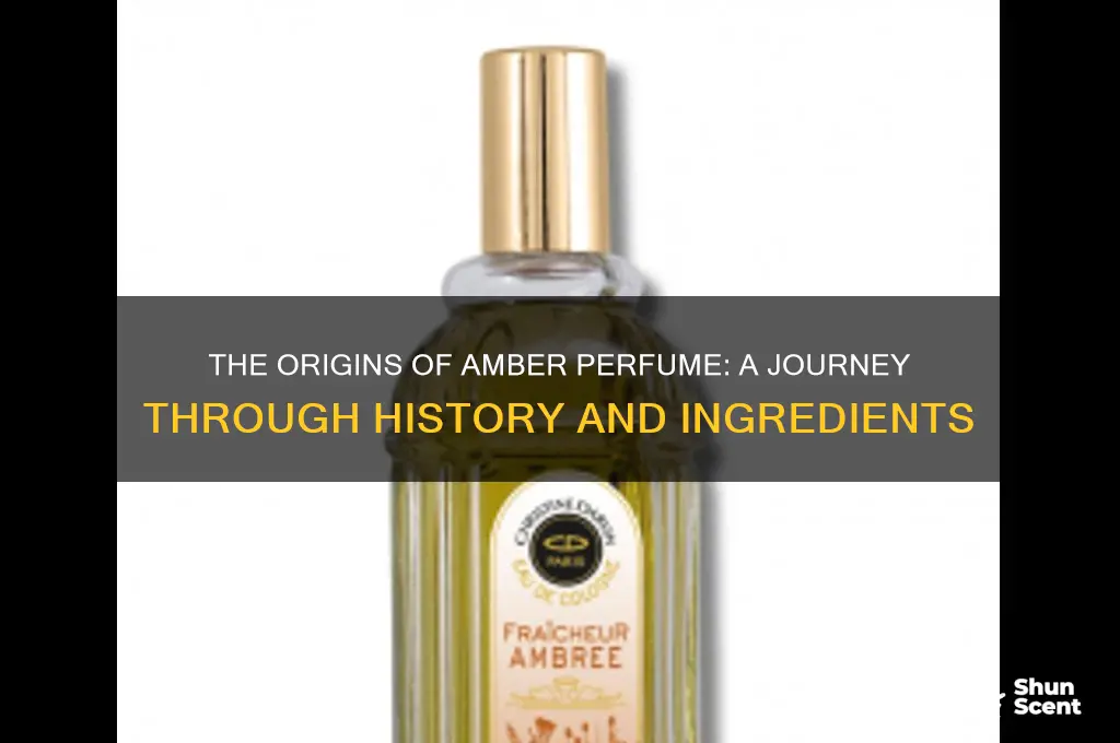 where does amber perfume come from