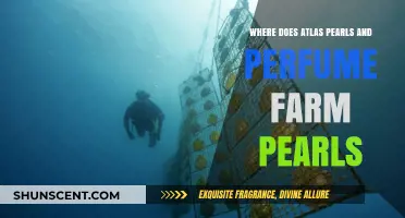 Atlas Pearls and Perfumes: Unveiling the Origins of Their Farmed Pearls