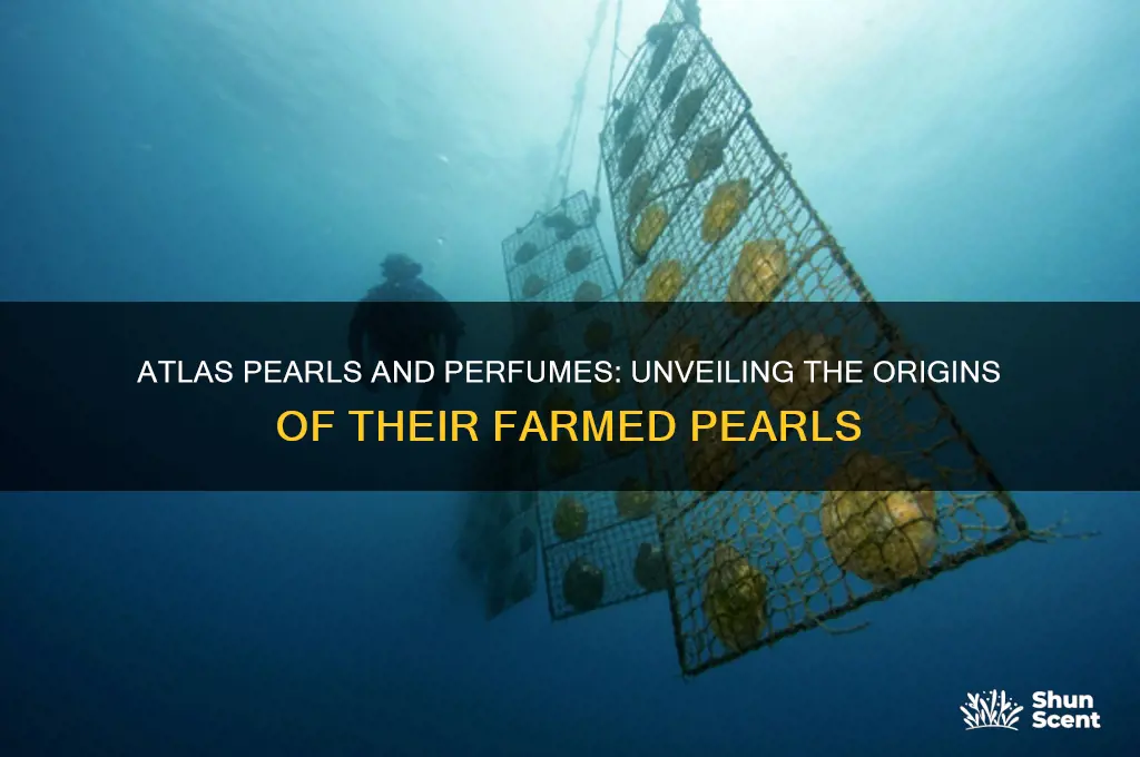 where does atlas pearls and perfume farm pearls