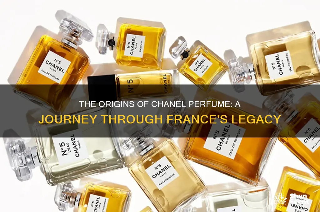 where does chanel perfume come from