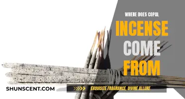 The Ancient Origins of Copal Incense