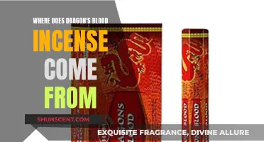 The Origins of Dragon's Blood Incense