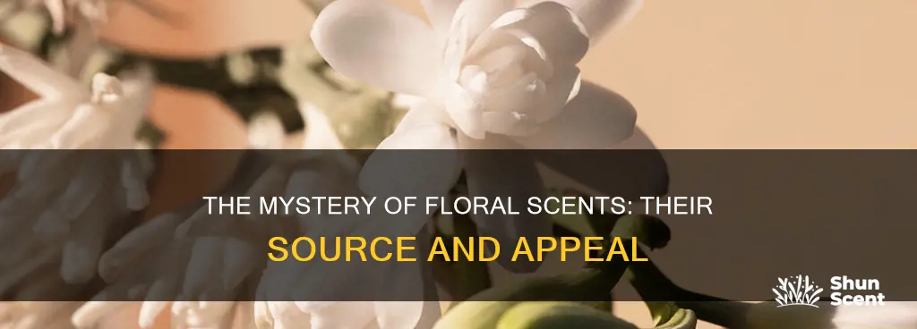 where does flower fragrance come from