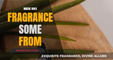 The Science of Scents: Unraveling Fragrance Origins
