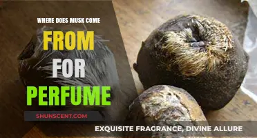 Exploring the Origins of Musk in Perfumery: A Fragrant Journey