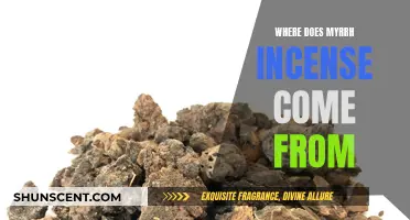The Ancient Origins of Myrrh Incense