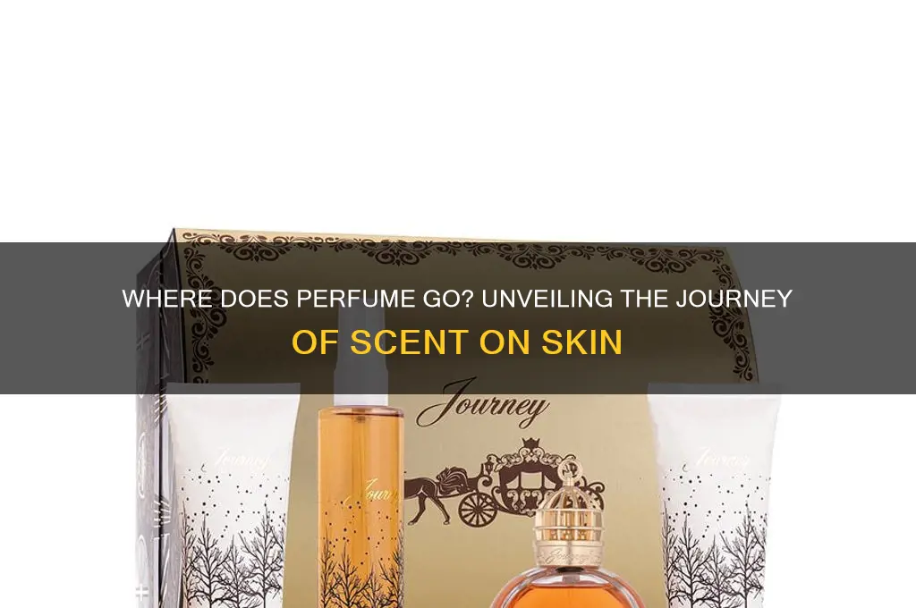 where does perfume go