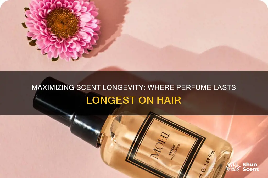 where does perfume stay the longest hair