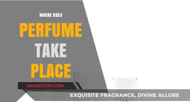 Exploring the Sensory Journey: Where Does Perfume Take Place?