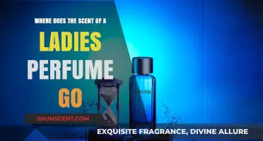 The Vanishing Scent: Where Does Ladies' Perfume Disappear To?