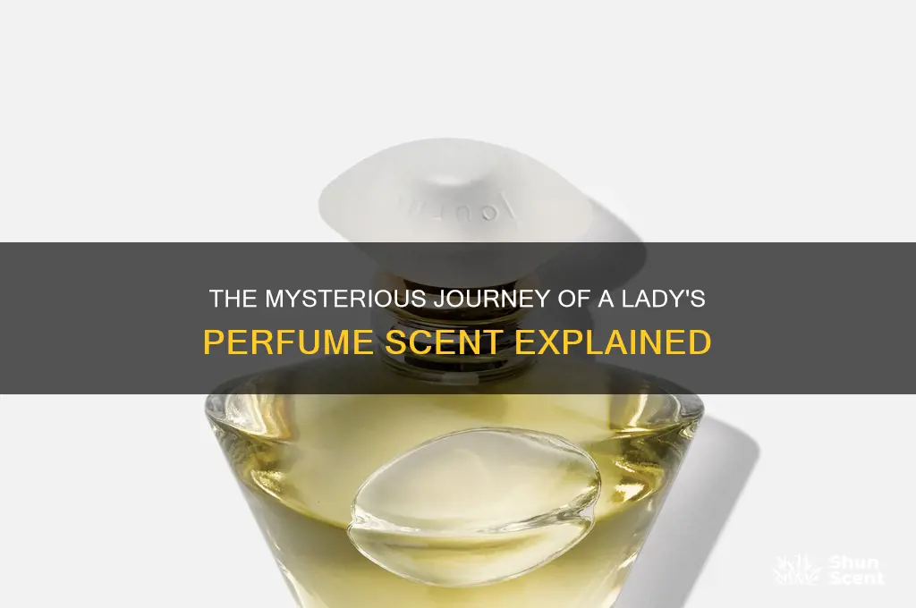 where does the scent of a lagys perfume go answer
