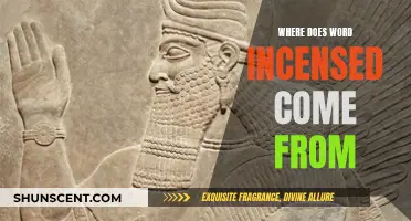 The Etymology of Incensed: A Historical Perspective