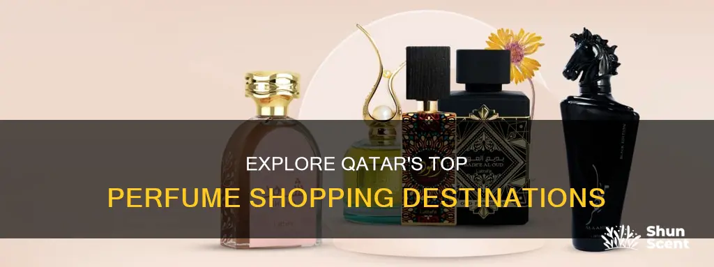 where i can buy perfumes in qatar