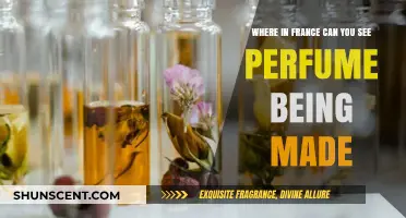 Exploring France: Witness the Art of Perfume-Making