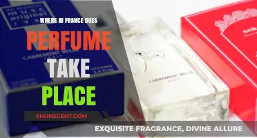 Exploring France's Perfumery: Where the Art of Scent Comes Alive