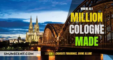 The Making of 1 Million: Cologne's Creation Story