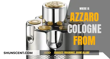 The Origin of Azzaro Colognes: A Fragrance Journey