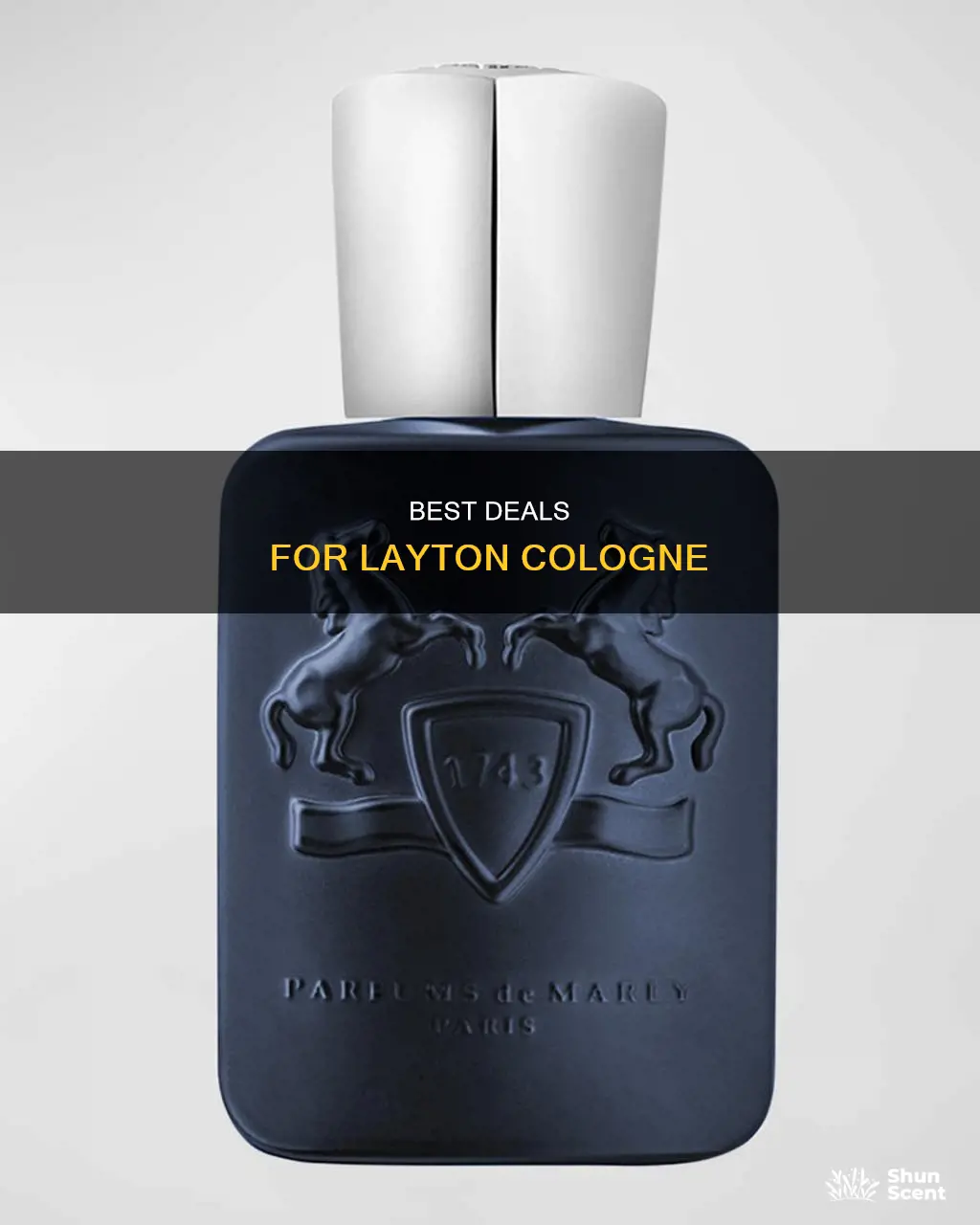 where is best and cheapest place to buy layton cologne