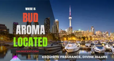 Bud Aroma: Where is the Source Location?