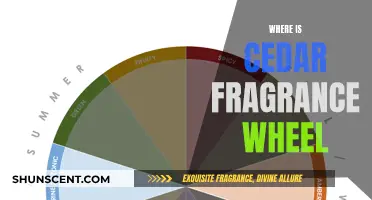The Cedar Fragrance Wheel: A Guide to Its Location