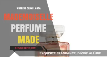 Discovering the Origins of Chanel Coco Mademoiselle Perfume