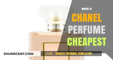 Discover the Best Global Deals on Chanel Perfumes: Where to Buy