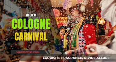 Cologne Carnival: A Local's Guide to the Festivities