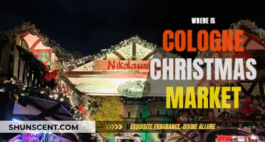 Cologne's Christmas Market: A Magical Winter Experience