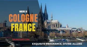 Exploring Cologne: France's Gem on the Water