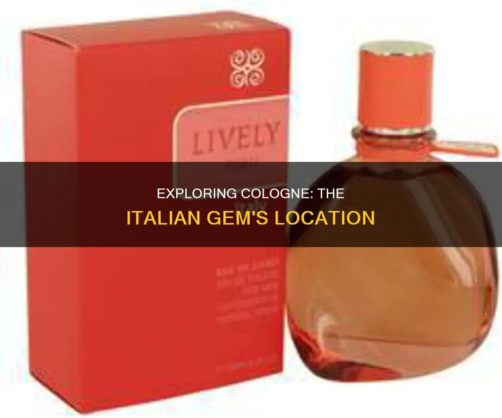 where is cologne italy