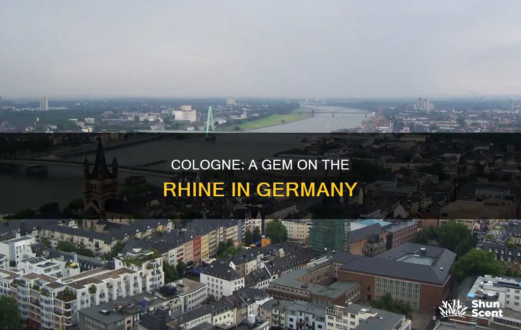 where is cologne located in europe