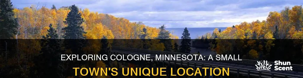 where is cologne minnesota