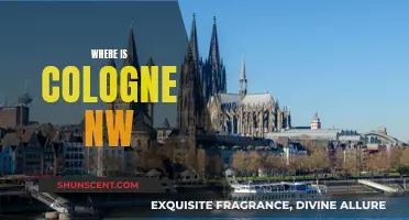 Cologne's Location: Exploring Germany's Northwest Gem