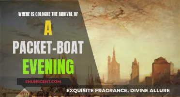 Evening Arrival at Cologne: A Boat's Journey