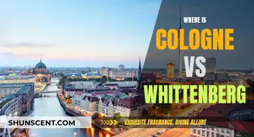 Exploring Cologne and Whittenburg: A Cultural Comparison